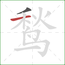 鹙的笔顺第2画:横 鹙的笔顺第2画:横