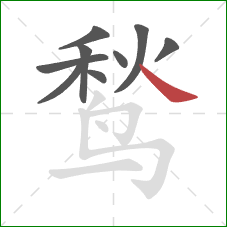 鹙的笔顺第9画:捺 鹙的笔顺第9画:捺