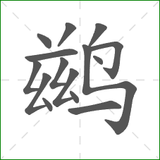 鹚的部首 鹚的部首