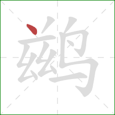 鹚的笔顺第1画:点 鹚的笔顺第1画:点
