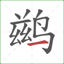 鹚的笔顺第14画:横 鹚的笔顺第14画:横