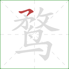 鹜的笔顺第1画：横撇