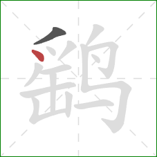 鹞的笔顺第2画:点 鹞的笔顺第2画:点