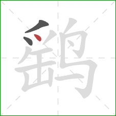 鹞的笔顺第3画:点 鹞的笔顺第3画:点