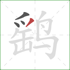 鹞的笔顺第4画:撇 鹞的笔顺第4画:撇