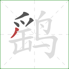 鹞的笔顺第5画:撇 鹞的笔顺第5画:撇