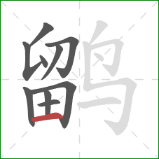 鹠的笔顺第10画:横 鹠的笔顺第10画:横