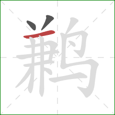 鹣的笔顺第3画：横