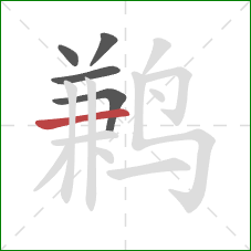 鹣的笔顺第5画：横