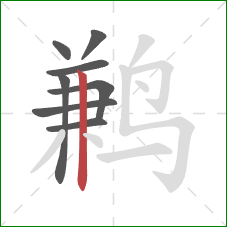 鹣的笔顺第8画：竖