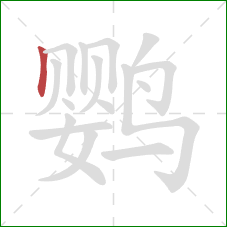 鹦的笔顺第1画：竖