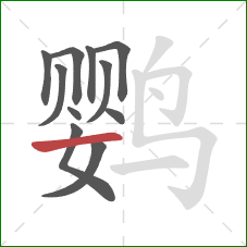 鹦的笔顺第11画：横