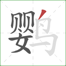 鹦的笔顺第12画：撇