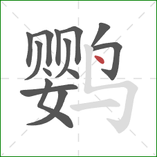 鹦的笔顺第14画：点