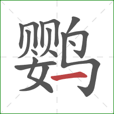 鹦的笔顺第16画：横