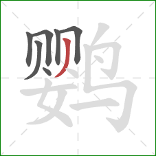 鹦的笔顺第7画：撇