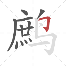 鹧的笔顺第13画:横折钩 鹧的笔顺第13画:横折钩