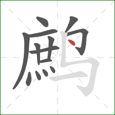 鹧的笔顺第14画:点 鹧的笔顺第14画:点