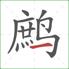鹧的笔顺第16画:横 鹧的笔顺第16画:横