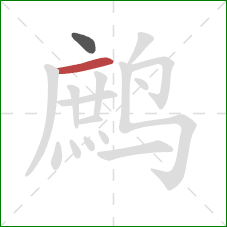 鹧的笔顺第2画:横 鹧的笔顺第2画:横