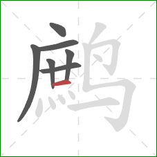 鹧的笔顺第7画:横 鹧的笔顺第7画:横