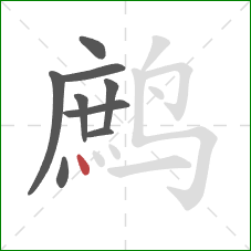 鹧的笔顺第9画:点 鹧的笔顺第9画:点