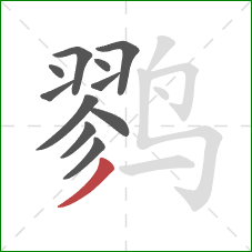 鹨的笔顺第11画：撇