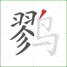 鹨的笔顺第12画：撇