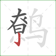 鹩的笔顺第10画：竖钩