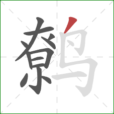 鹩的笔顺第13画：撇