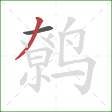 鹩的笔顺第2画：撇
