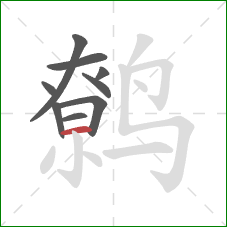 鹩的笔顺第9画：横