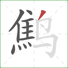鹪的笔顺第13画：撇