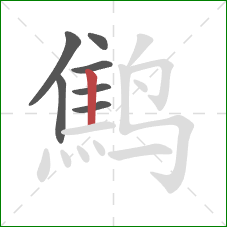 鹪的笔顺第7画：竖