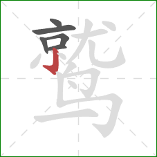 鹫的笔顺第6画：竖钩