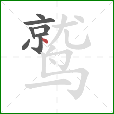 鹫的笔顺第8画：点