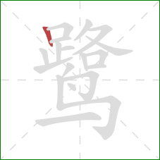 鹭的笔顺第1画：竖