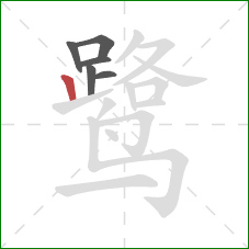 鹭的笔顺第6画：竖