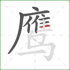 鹰的笔顺第11画：横