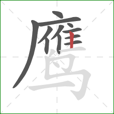 鹰的笔顺第12画：竖