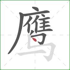 鹰的笔顺第16画：点