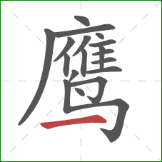 鹰的笔顺第18画：横