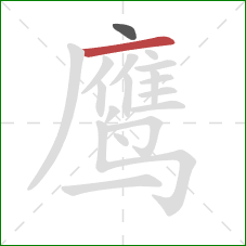 鹰的笔顺第2画：横