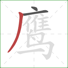 鹰的笔顺第3画：撇