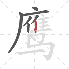 鹰的笔顺第7画：竖