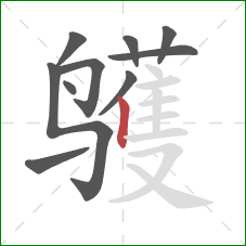 鹱的笔顺第10画：竖