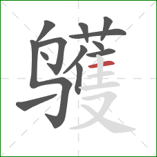 鹱的笔顺第13画：横