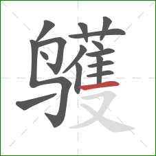 鹱的笔顺第16画：横