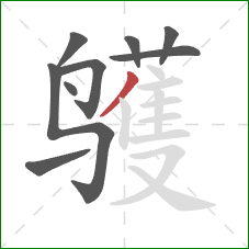 鹱的笔顺第9画：撇