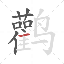 鹳的笔顺第13画：横